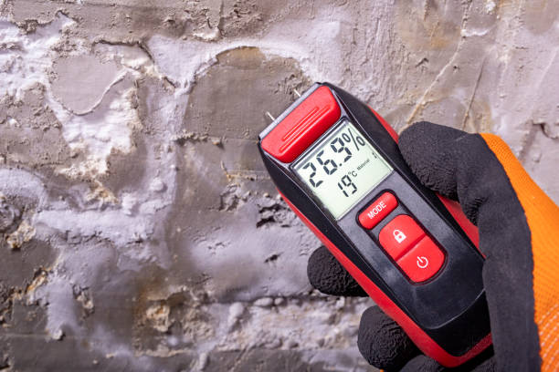 Best Mold Testing  in Big Coppitt Key, FL