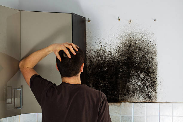 Best Crawl Space Mold Removal  in Big Coppitt Key, FL